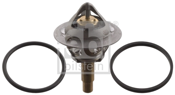 Thermostat, coolant